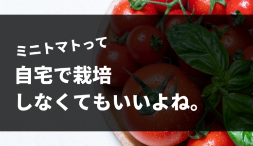 ミニトマトって自宅で栽培しなくてもいいよね。